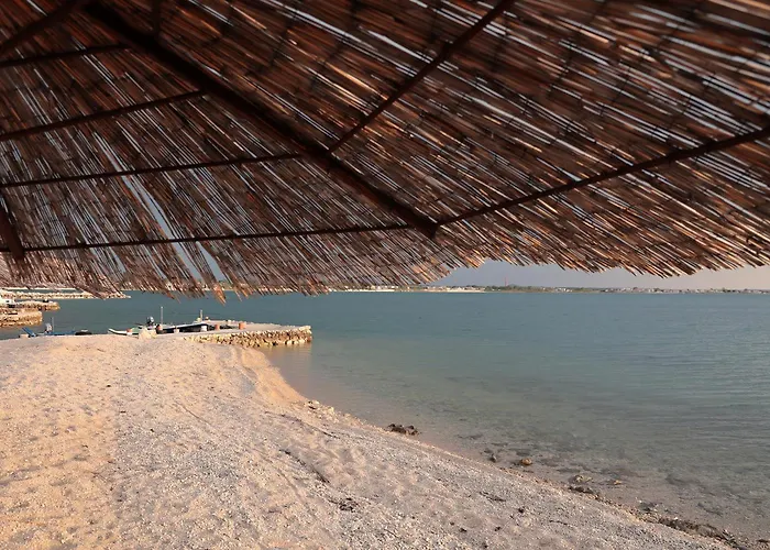 Alan 2 アパート ヴーシ